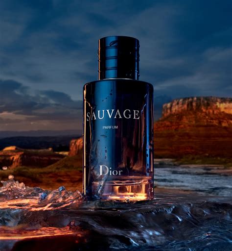 dior savage on sale|dior sauvage 100ml cheapest.